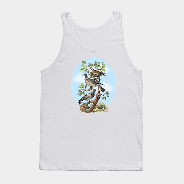 Dove Nature Illustration Tank Top by Biophilia